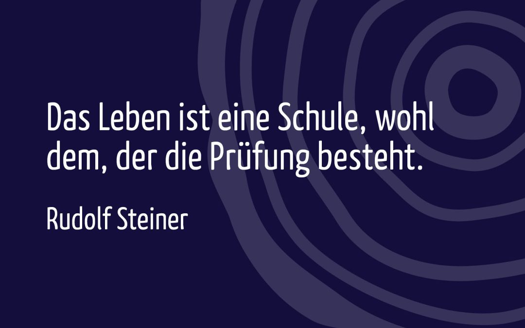 Abschlüsse